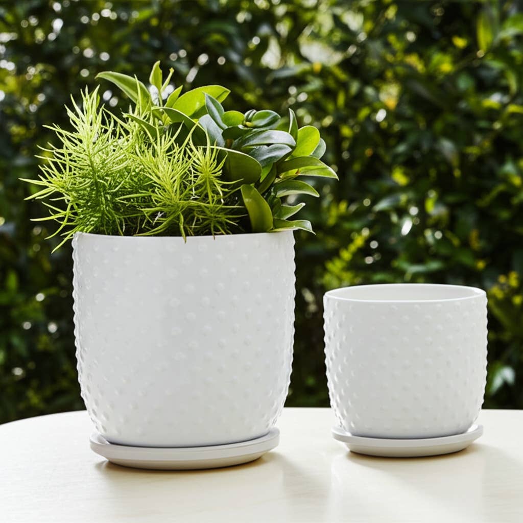 White 6/8 in. Ceramic Tiny Dots Saucer Planters