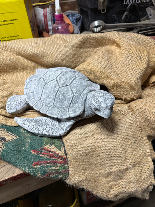 Sea Turtle Head Up