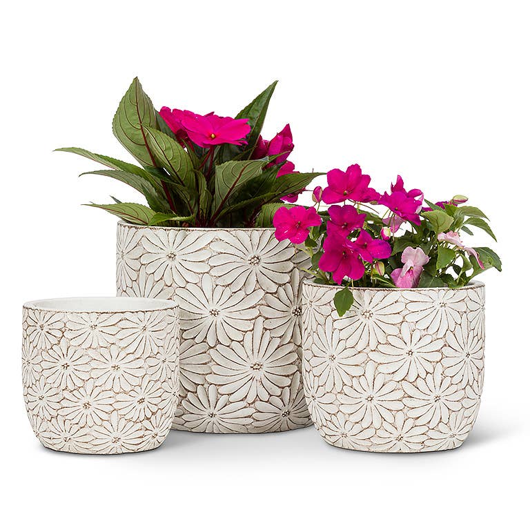 Md Wht Daisy Round Planter-4.5" H