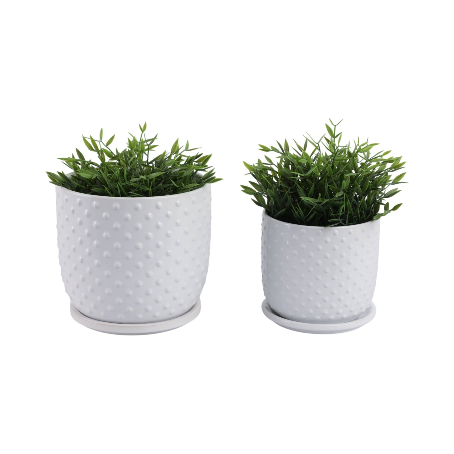 White 6/8 in. Ceramic Tiny Dots Saucer Planters
