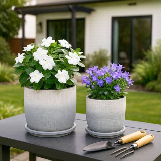 Silver Ceramic Textured Saucer Planters, 5/6 in.