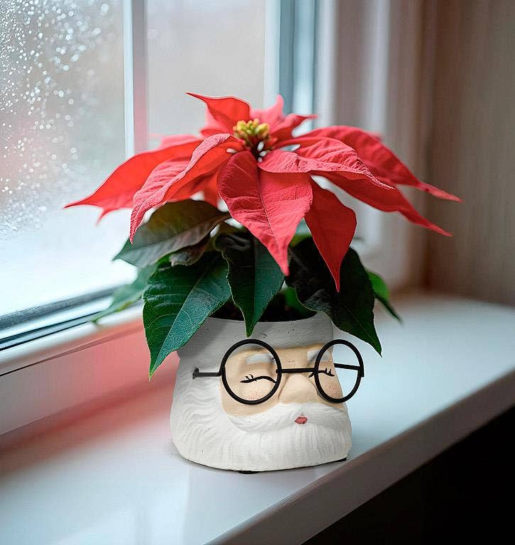 Small Santa Planter with Glasses