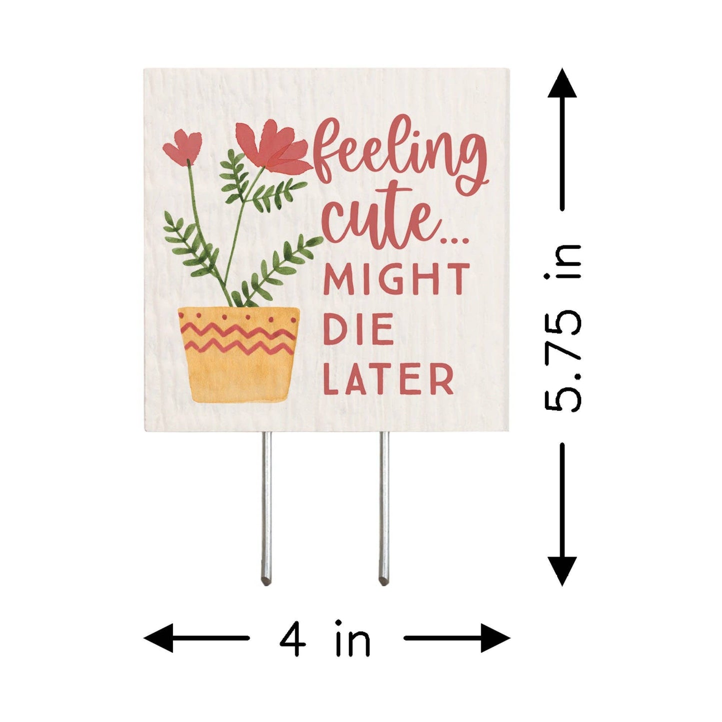 Feeling Cute Die - Plant Thoughts