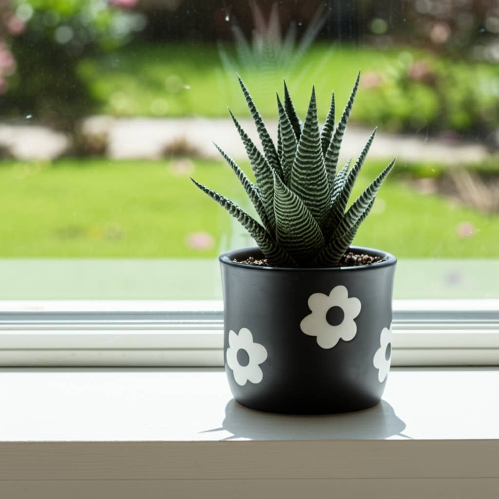 6 in. Black/White Flower Power Planter