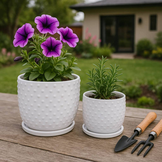 White 6/8 in. Ceramic Tiny Dots Saucer Planters