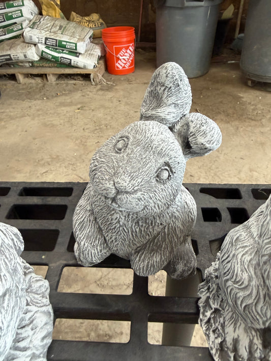 Rosey The Rabbit