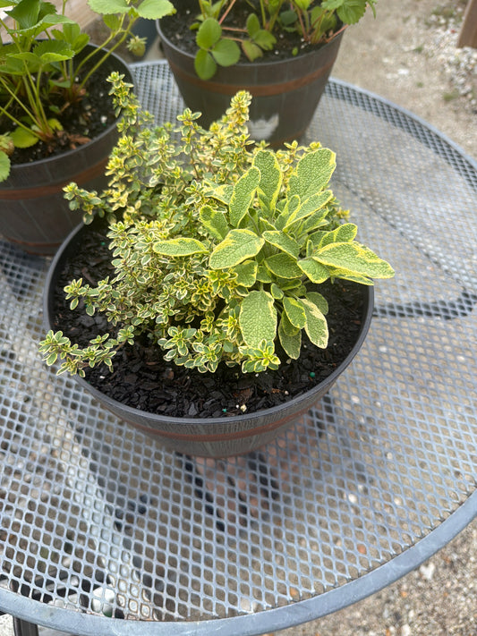 Whiskey Barrel Herb Pot