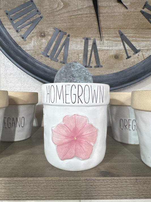 Indoor Flower Pot w/ Spade