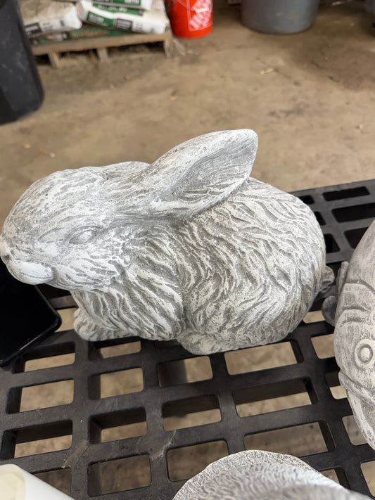 Fluffy Rabbit