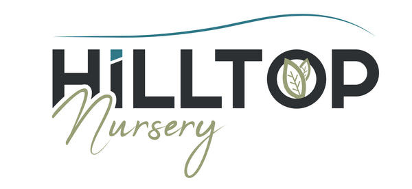 Hilltop Nursery