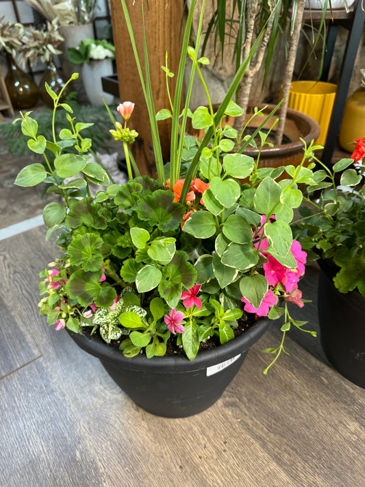 13" Mothers Day Pot