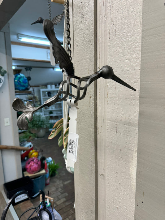 Hanging Hummingbird