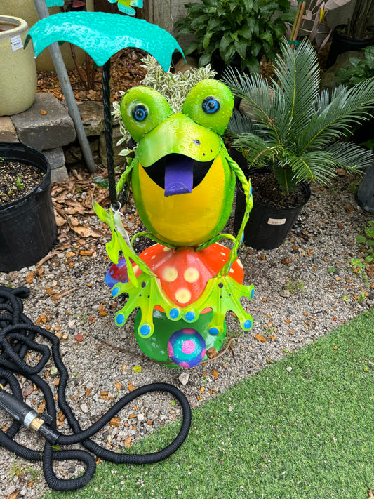 Frog on Mushroom Large