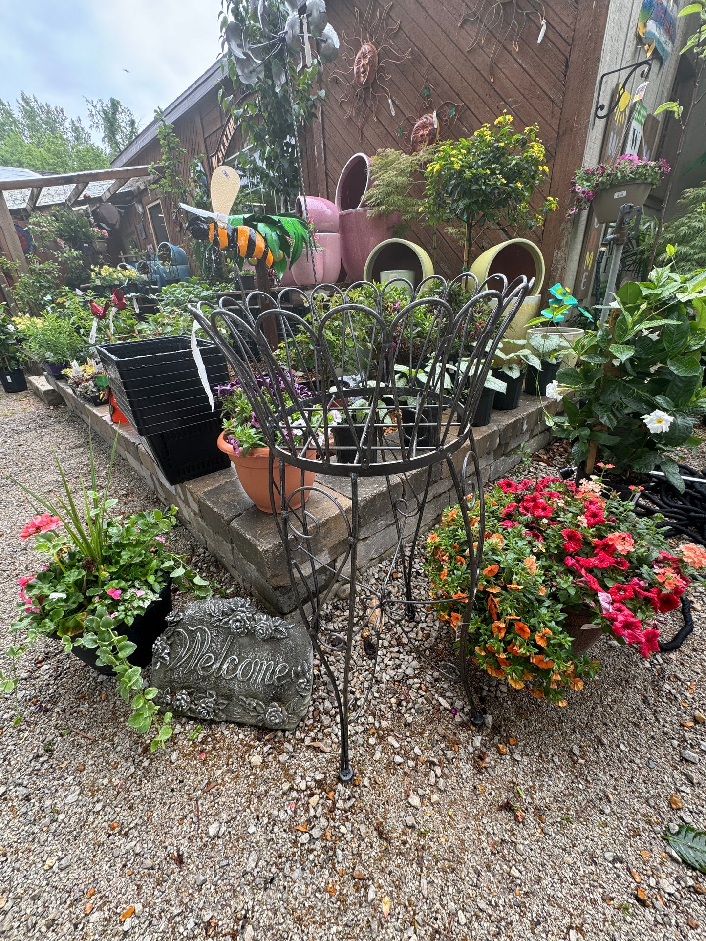 Planters Black
