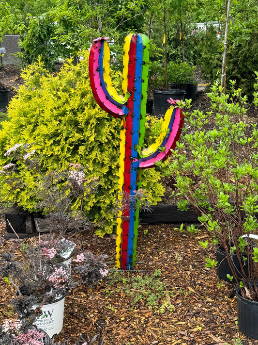 XL Rainbow Cactus