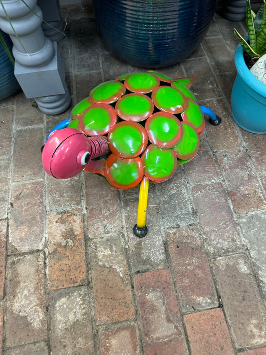 Turtle W/ Disk Back