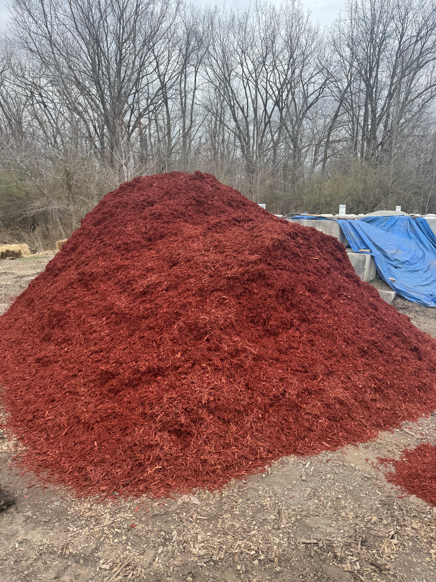 Red Mulch