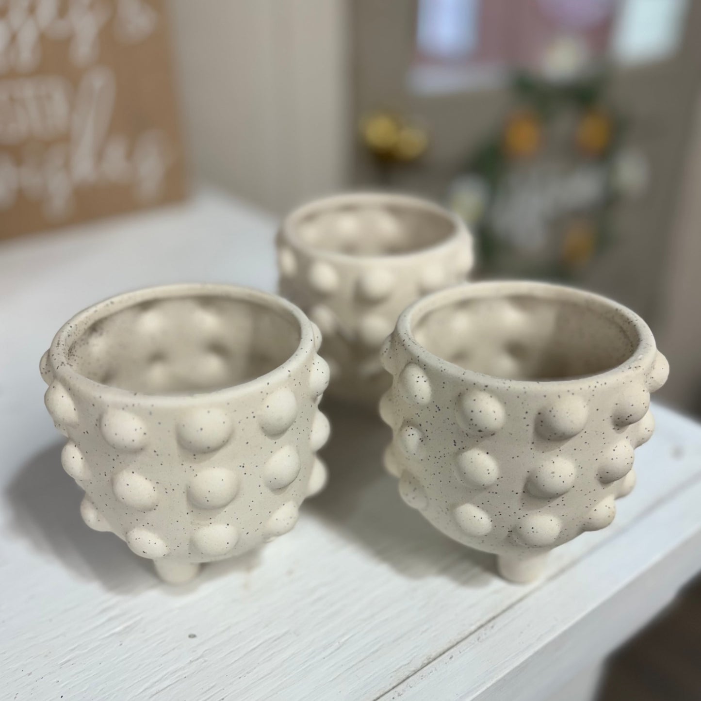 Speckled Raised Dots Indoor Planter