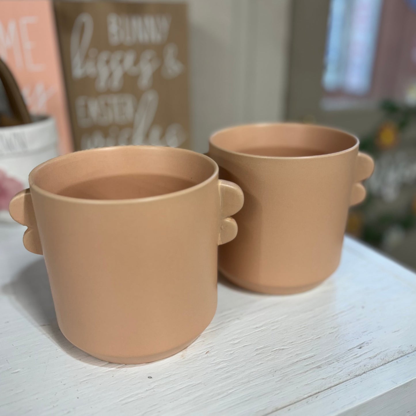 Soft Pink Indoor Planter