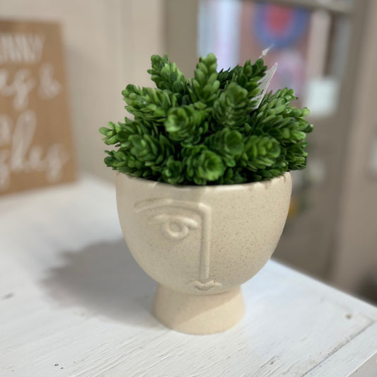 Small Speckled Face Planter