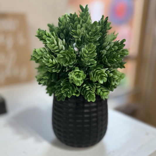 Small Black Planter