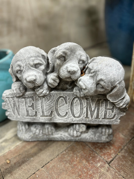 Concrete Puppies "Welcome"