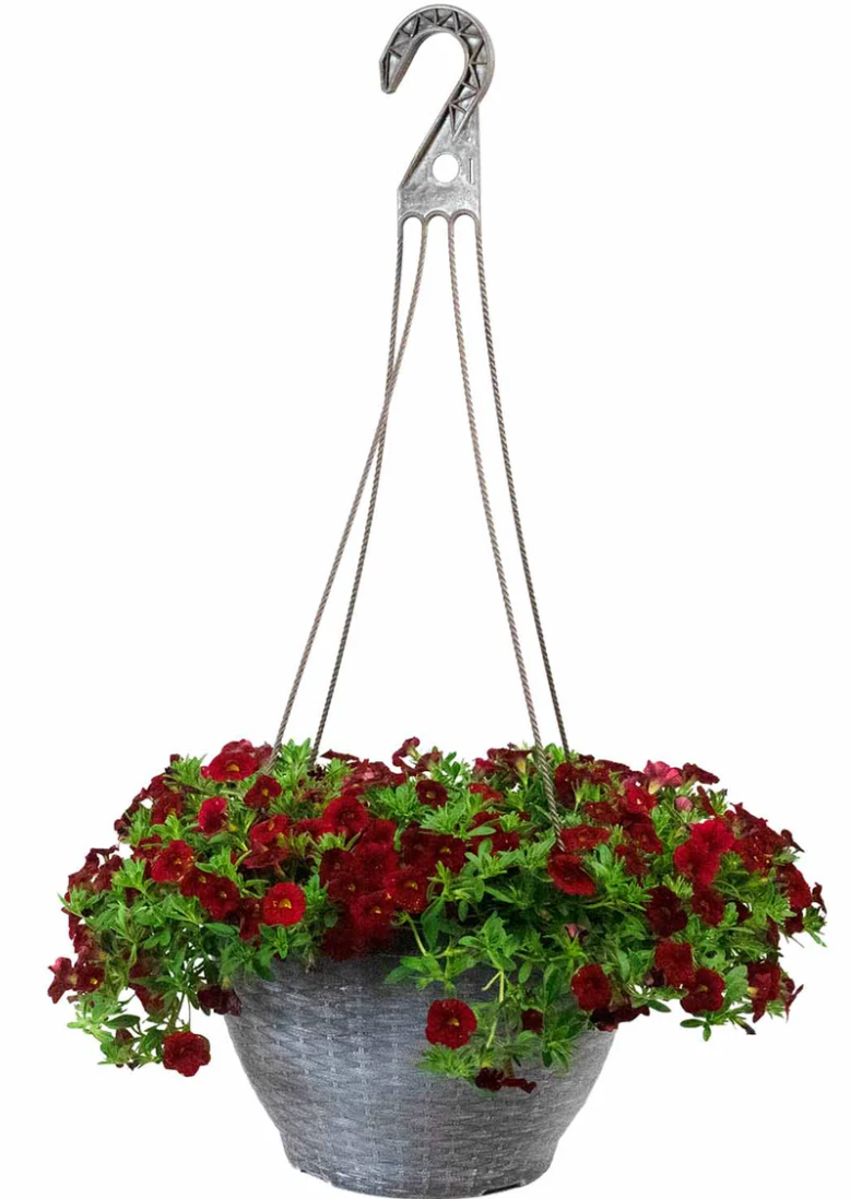 Standard 10" Hanging Basket