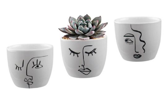 Expression Pot