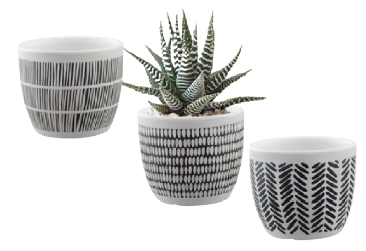 Black White Pattern Terracotta Pot