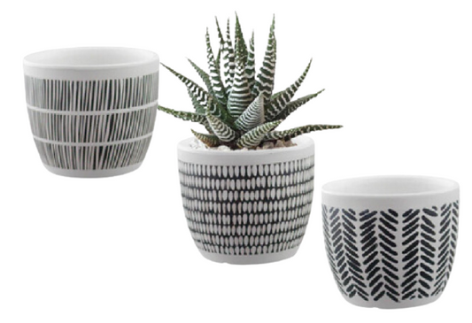 Black White Pattern Terracotta Pot