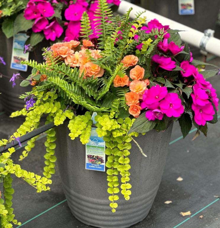 14" Patio Planter
