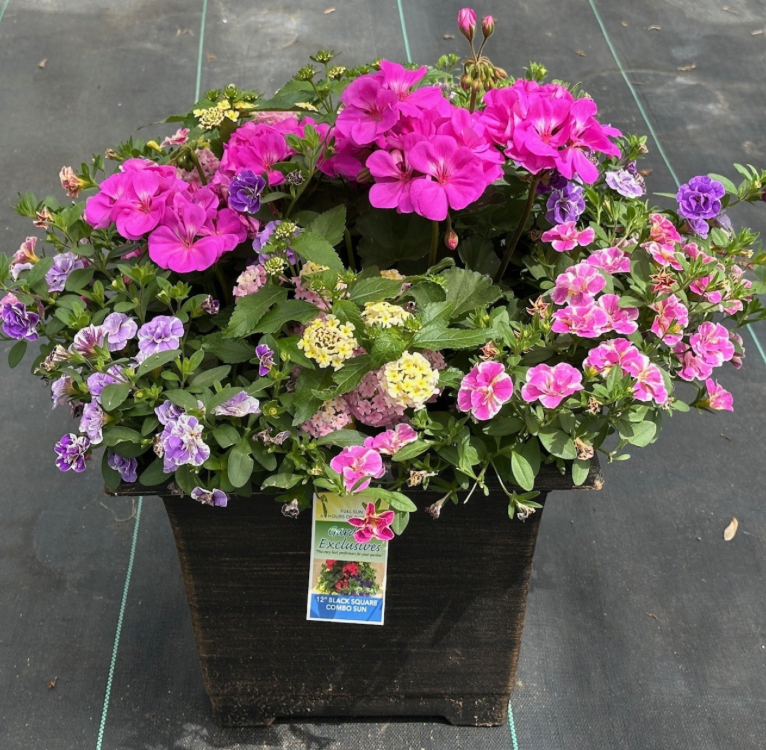 12" Patio Planter