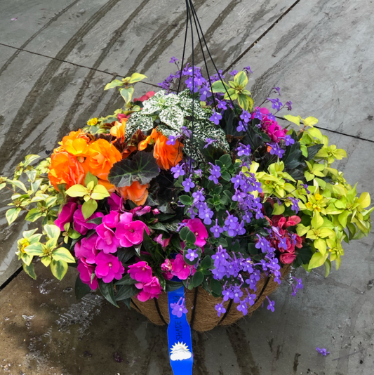 20" Hanging Basket Coco Moss