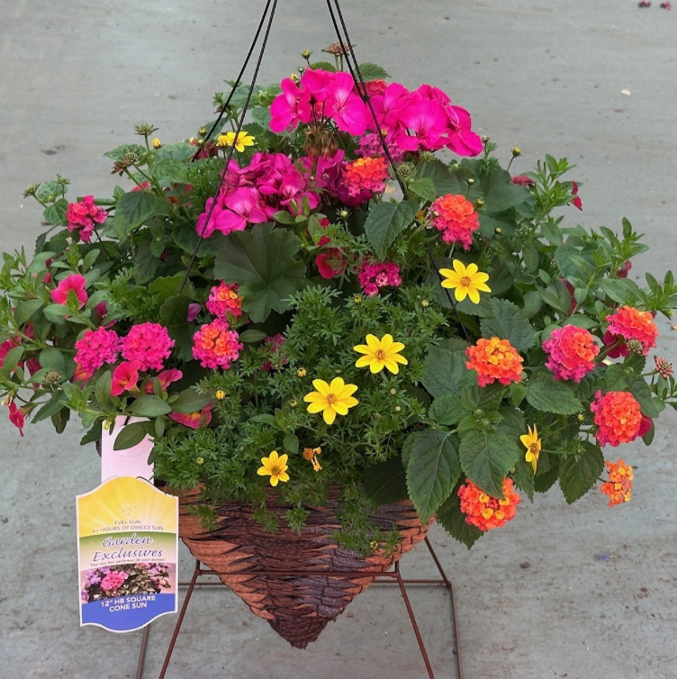 12" Hanging Basket Square Cone