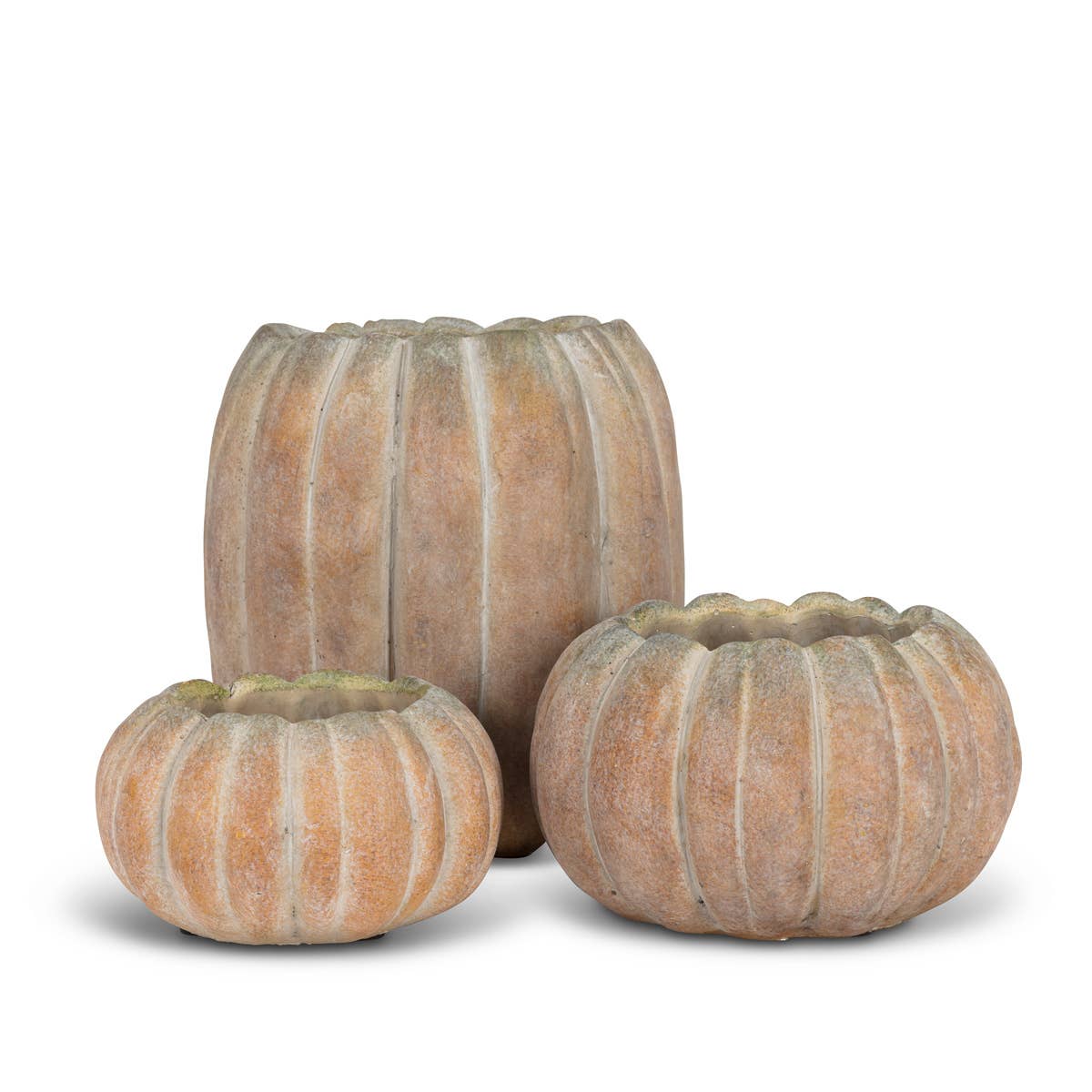 Cement Pumpkin Planter