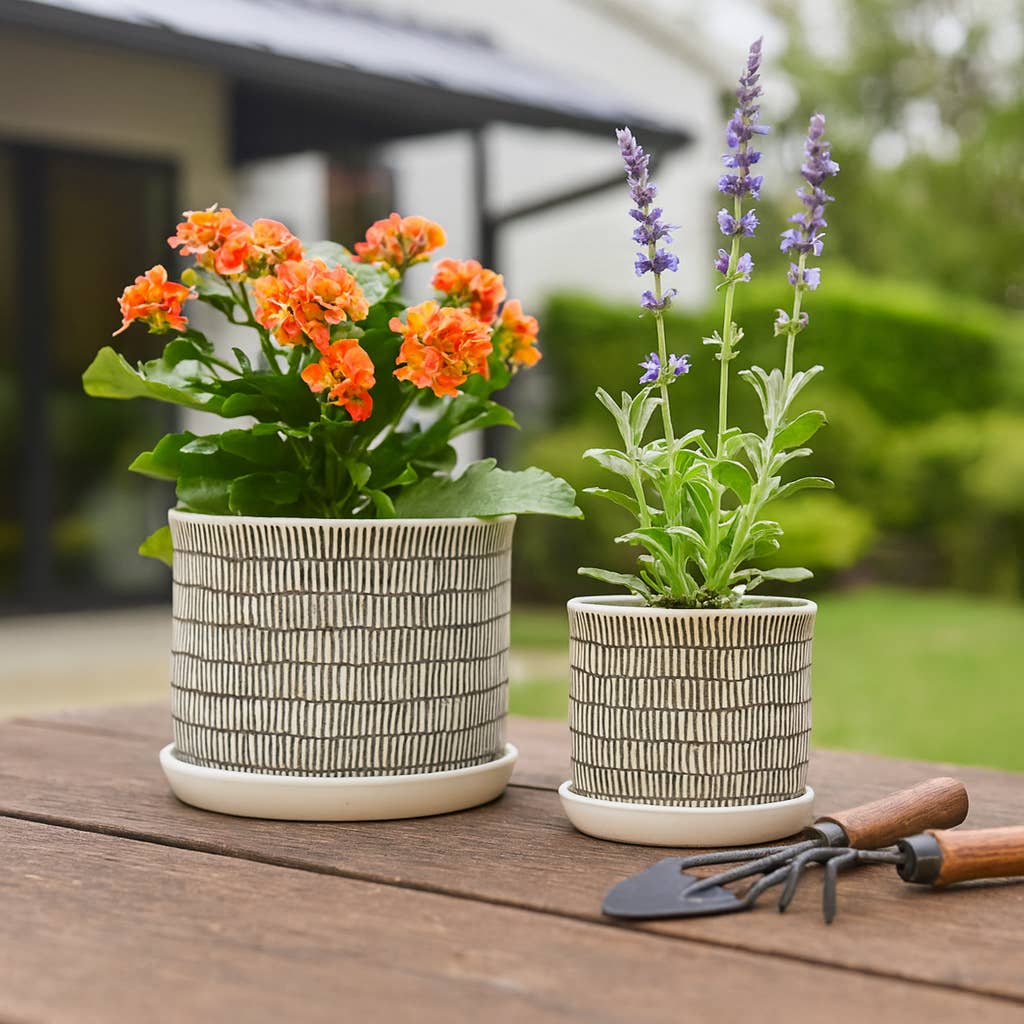 Planters Set of 2 - Ivory Ceramic Line with Saucer, 6/8 in.