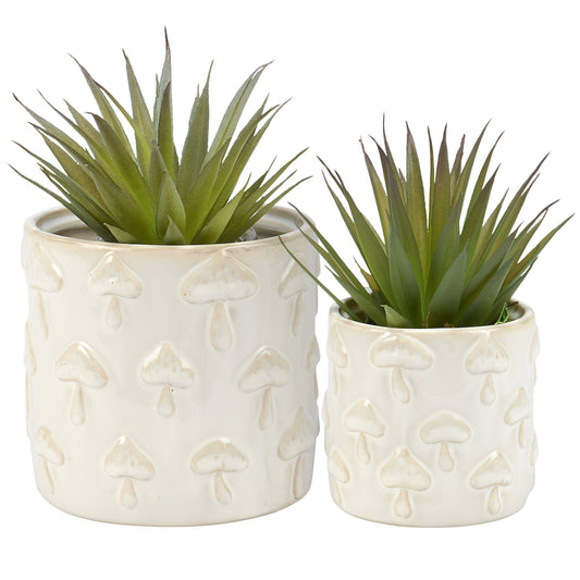 Mushrooms Planters