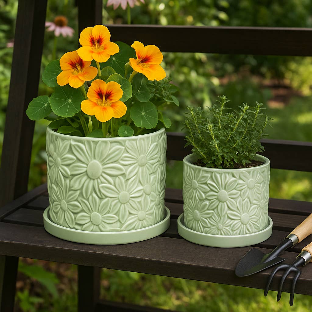 Green 6/8 in. Ceramic Daisy Flower Planter