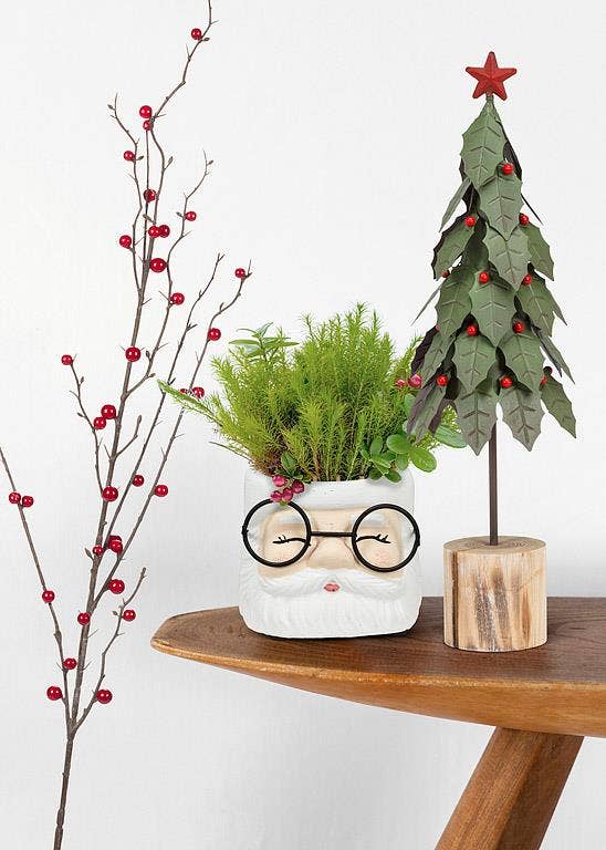 Large Santa Planter with Glasses