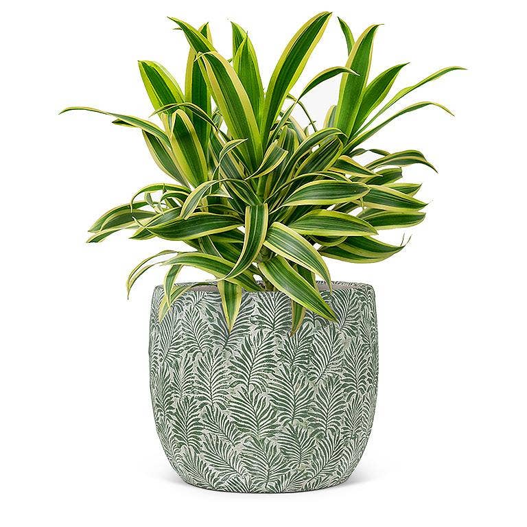 Green Leaf Planter