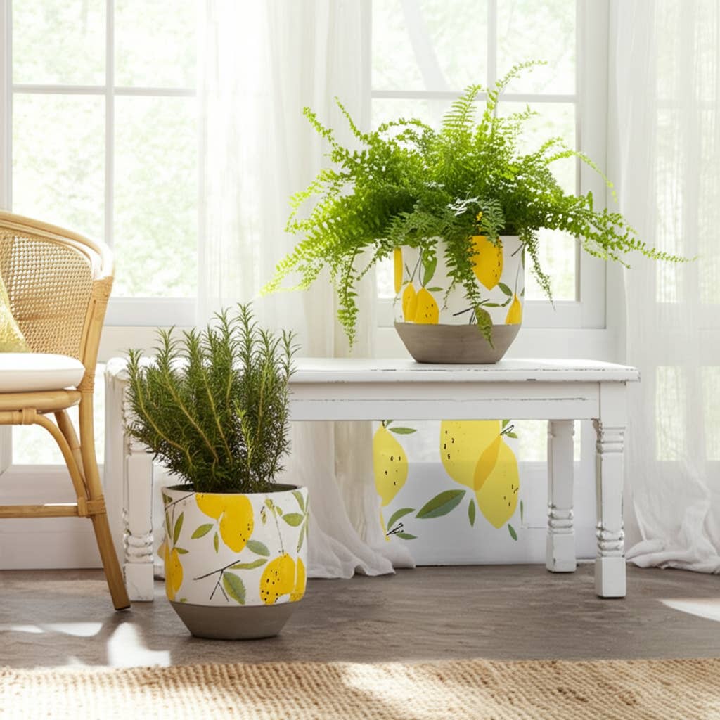 Yellow Pottery Growing Lemons Planters, 6/7 in.