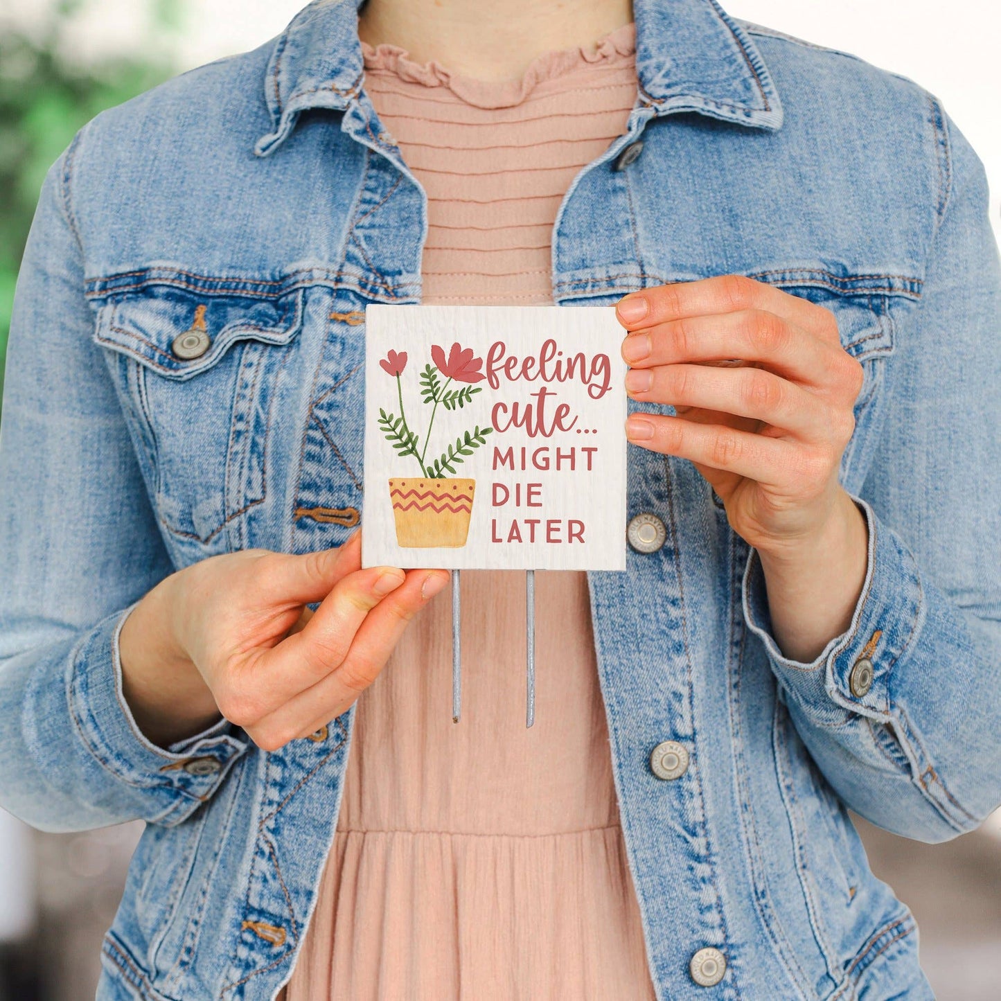 Feeling Cute Die - Plant Thoughts