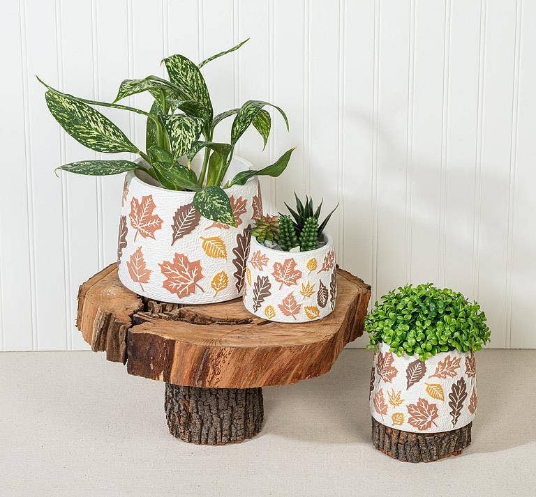 Fall Leaves Planter