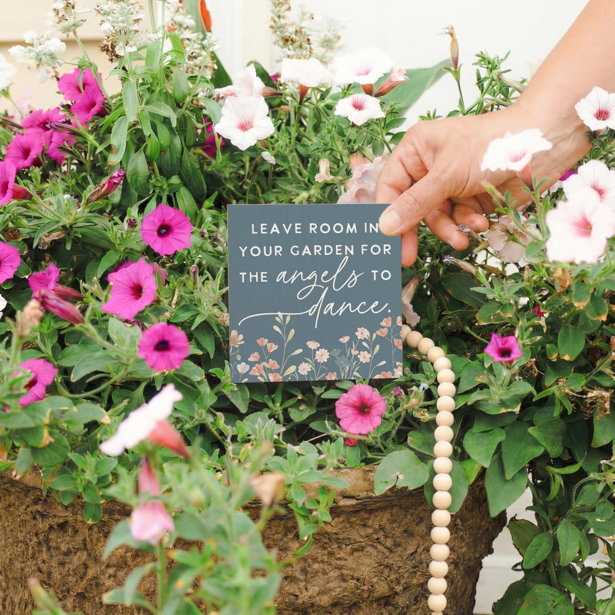 Angels To Dance - Plant Thoughts
