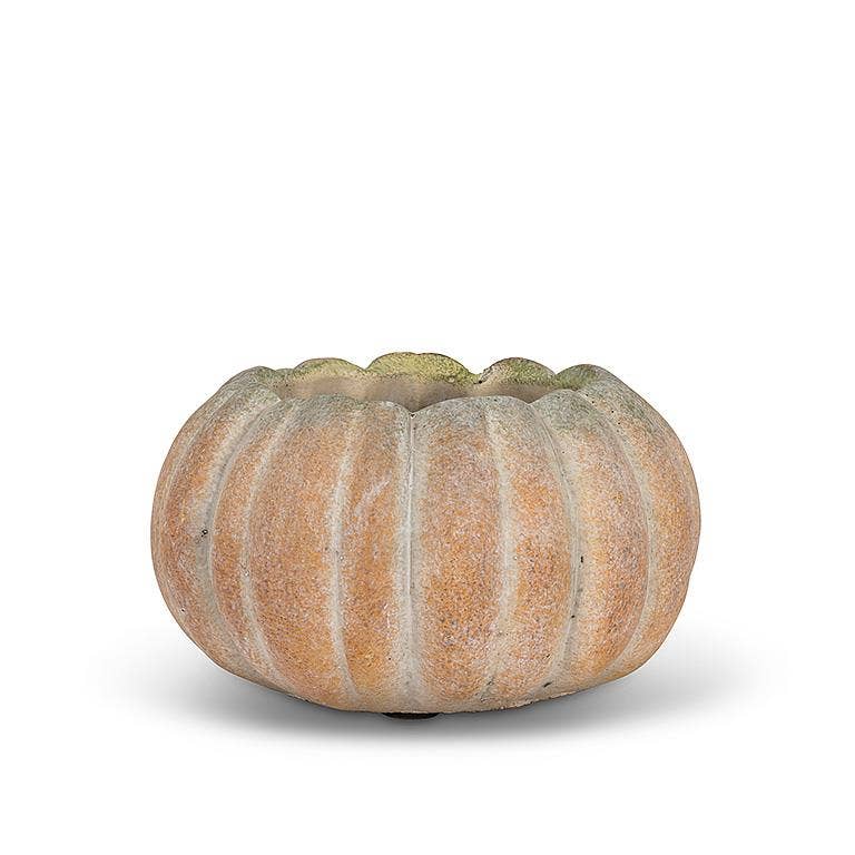 Cement Pumpkin Planter