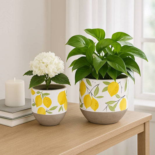 Yellow Pottery Growing Lemons Planters, 6/7 in.