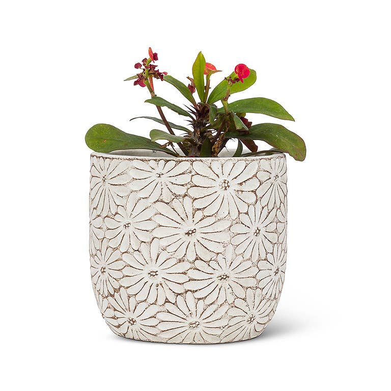 Sm Wht Daisy Round Planter-4"H