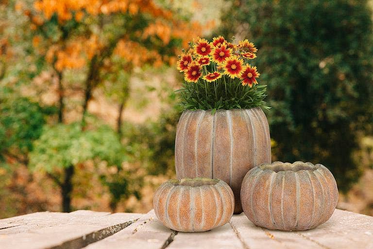 Cement Pumpkin Planter